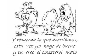 Colesterol-bueno-y-malo