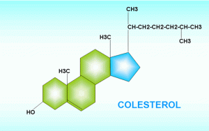 colesterol formiula