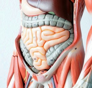 Colon Irritable