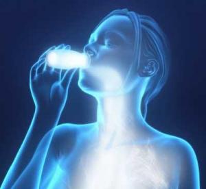 alimentos funcionales 5