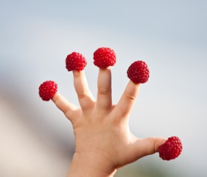 Little child's hand with raspberry "hats" on fingers