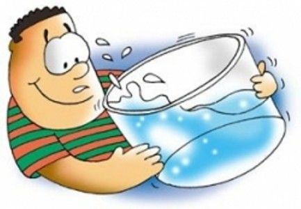 bere-molta-acqua-433x300