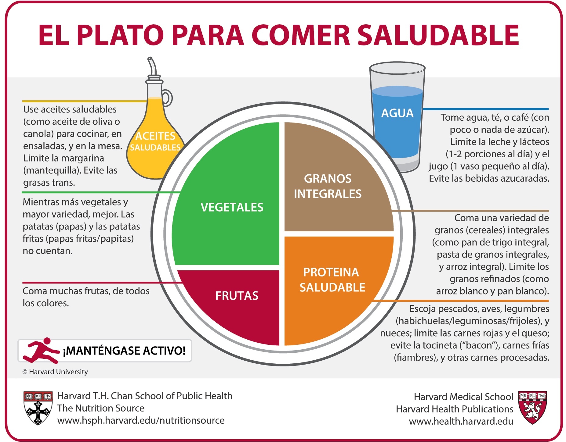 plato_saludable_hardvard