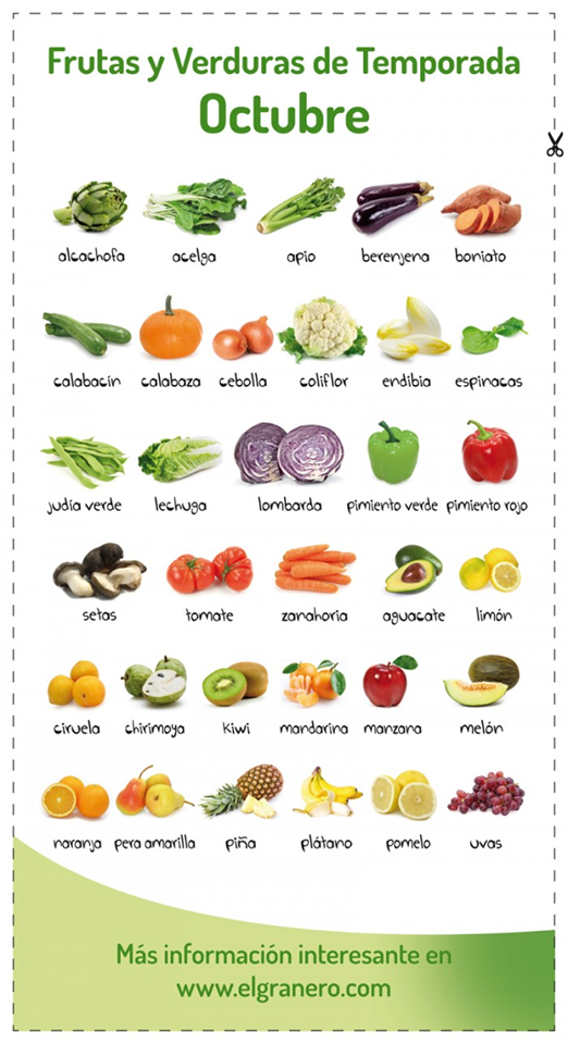 22811592_10214902297500203_913919400_n