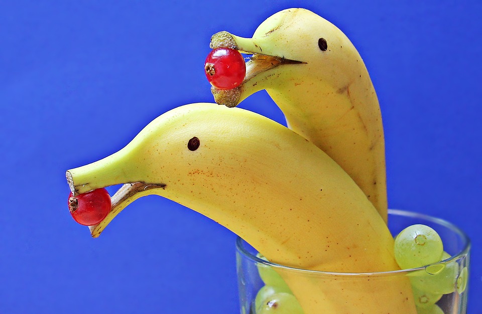 delfin-bananas-1737836_960_720